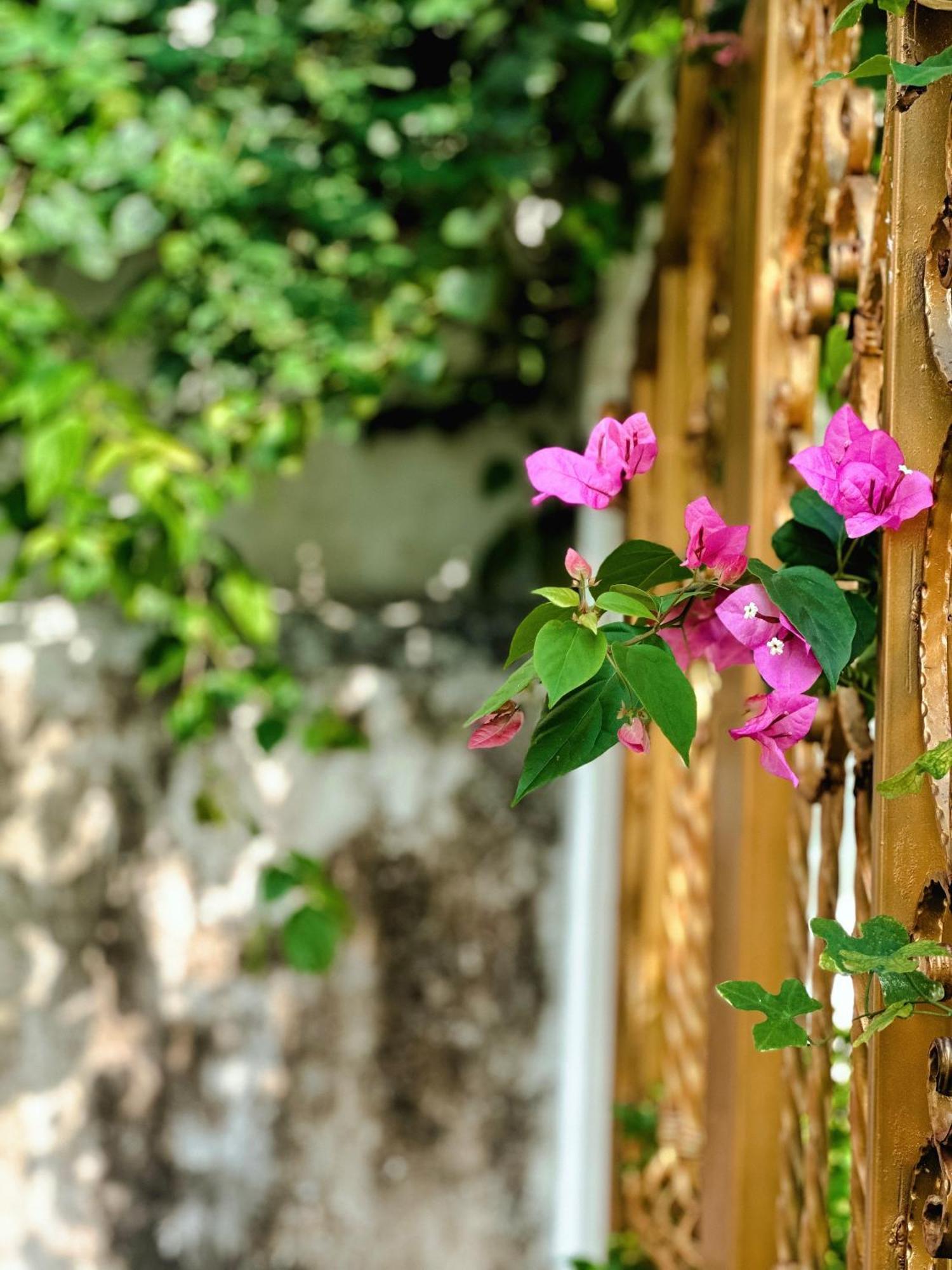 Blue Fish Villa Tan Thanh Ngoại thất bức ảnh